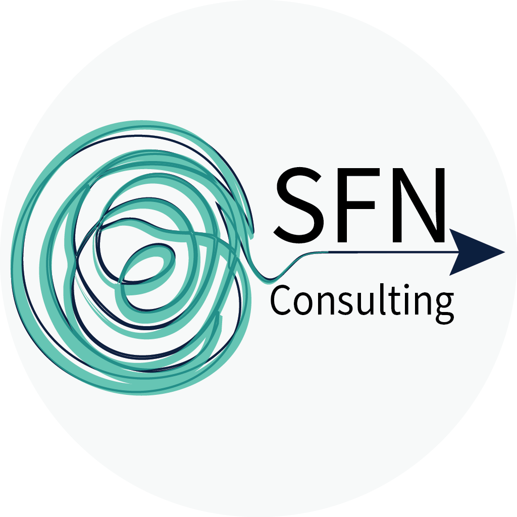Signal from Noise Consulting Logo